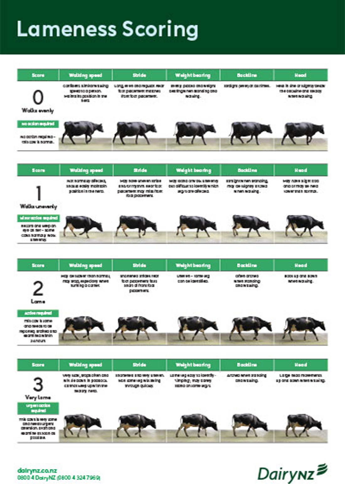 Lamesness Scoring Poster Image