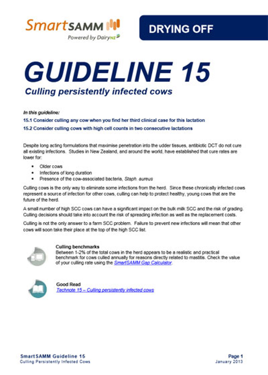 Guideline 15