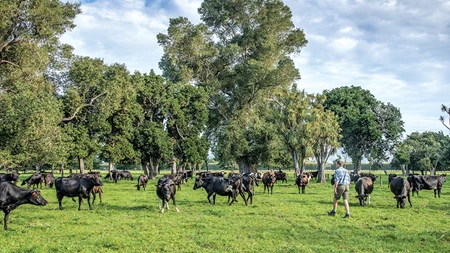 South Wairarapa farmer Leo Vollebregt