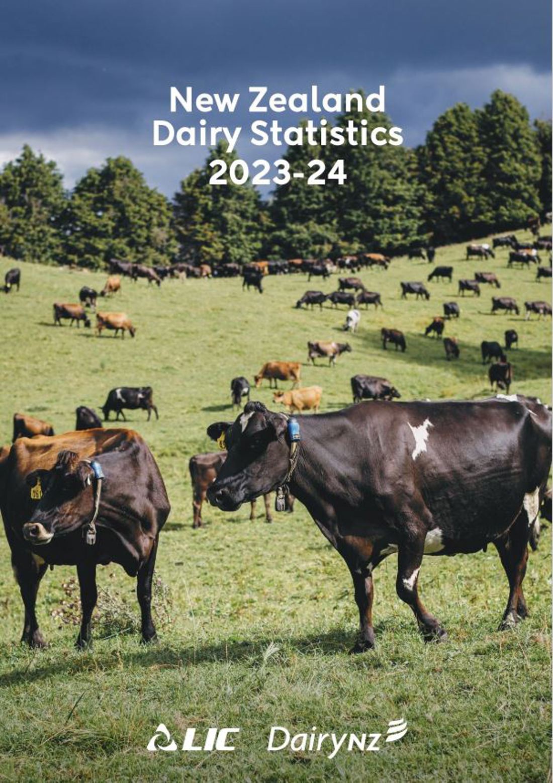 New Zealand Dairy Statistics 2023 2024 Image