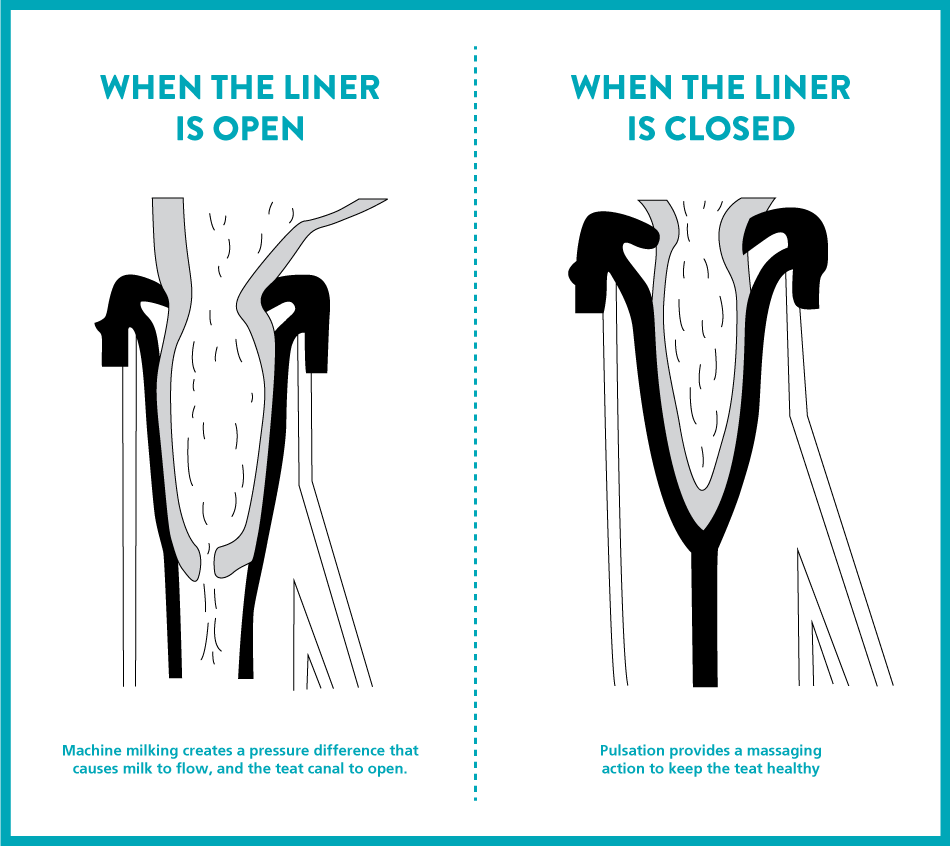 Pulsation open and close