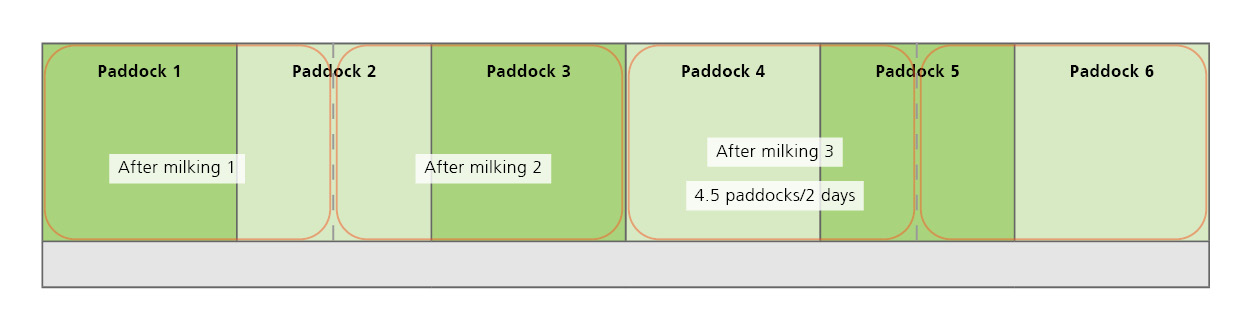 One and a half paddocks