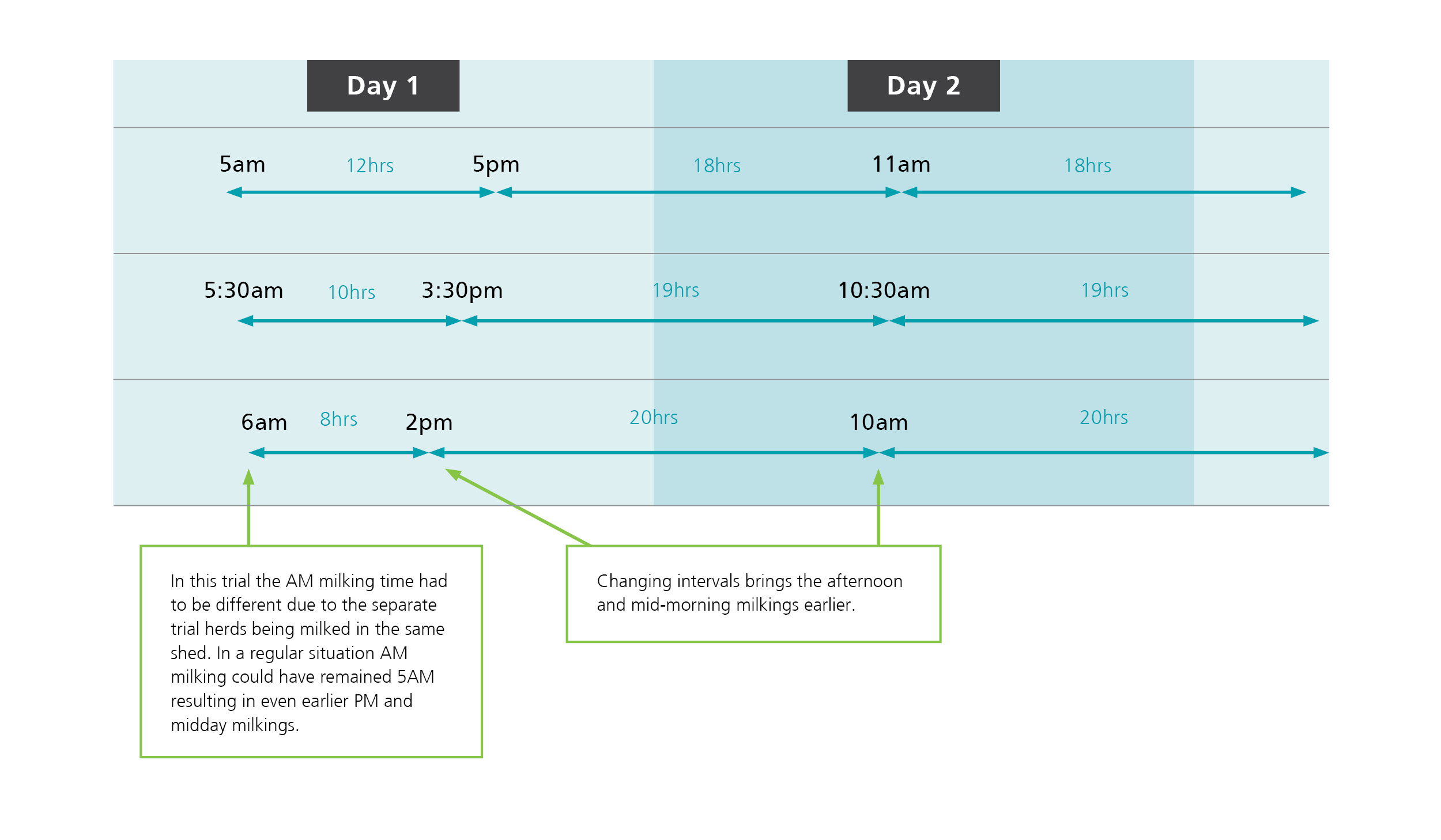 Flexible milking intervals