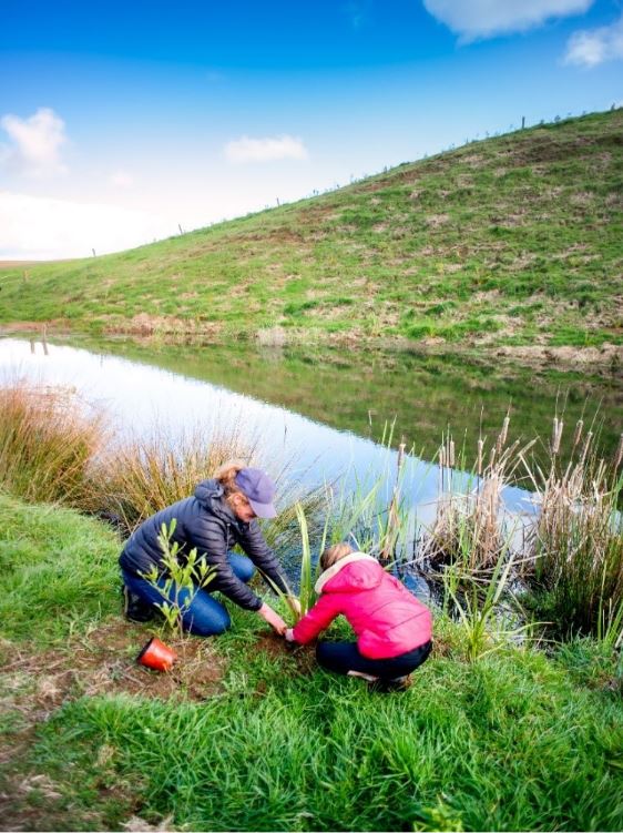 Catchment group action on-farm - riparian planting