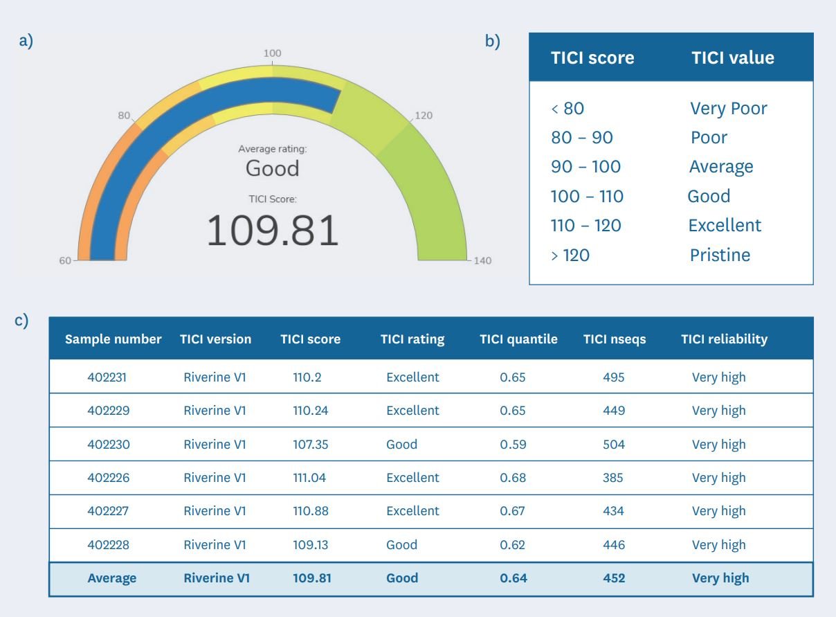 TICI score