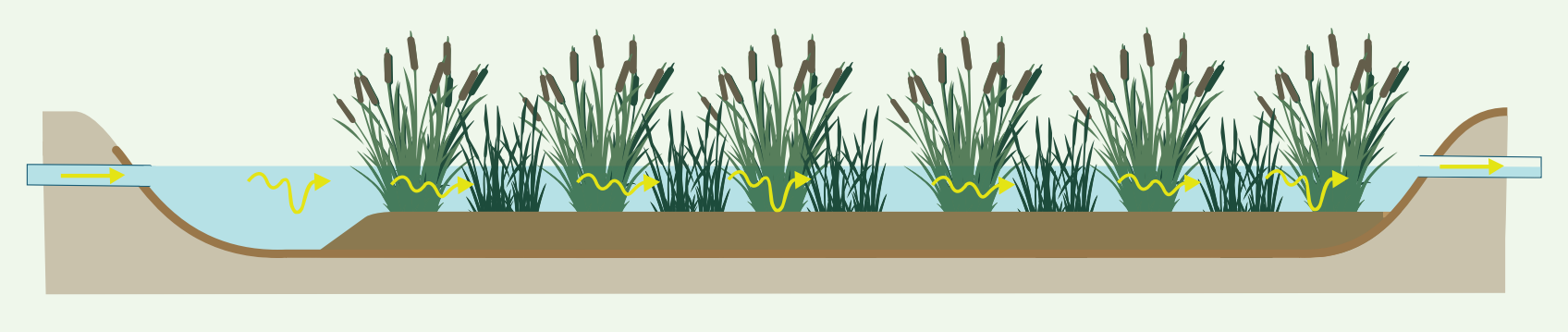 Constructed wetland diagram