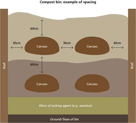 compost bin example