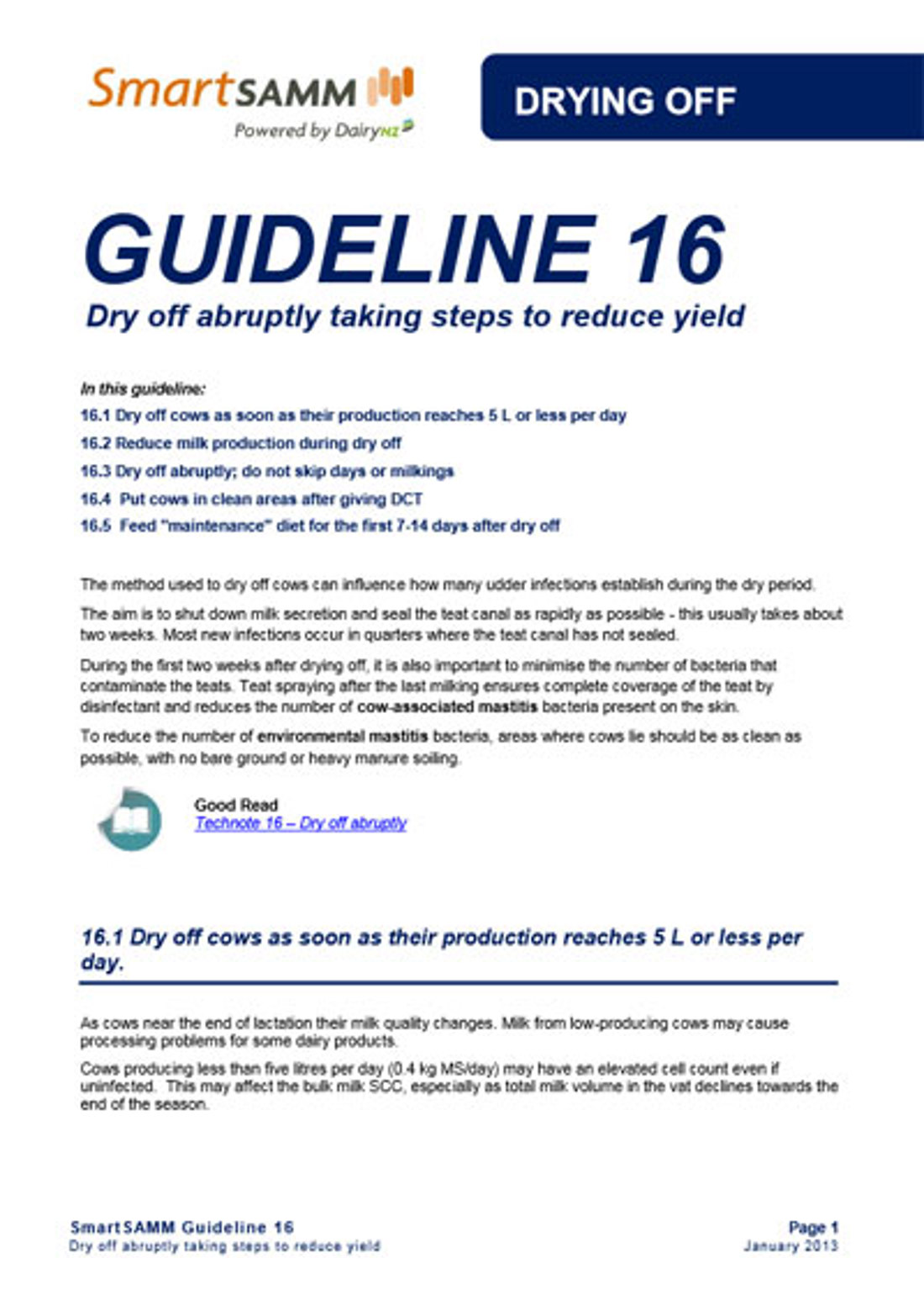 Guideline 16